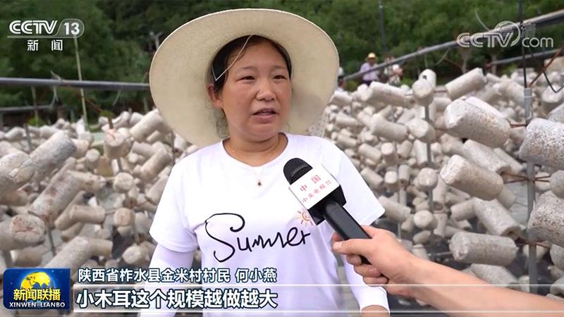 【走向我们的小康生活】种上小木耳 摘下贫困帽