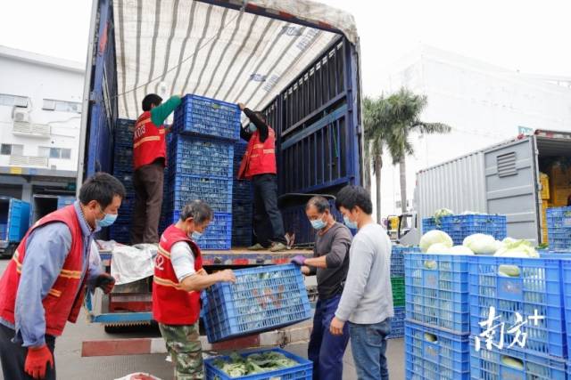 备货、分拣、打包、装车……为保障深港两地居民“菜篮子”量足价稳，深农集团24小时不打烊