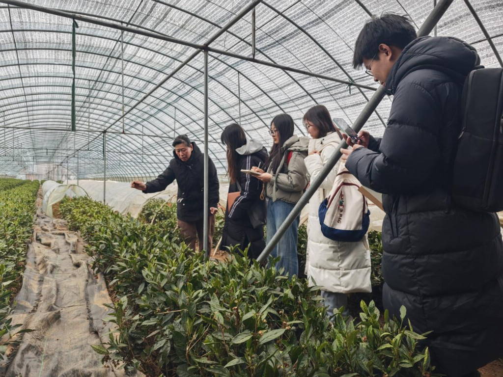 情系茶乡，山东农业大学公费农科生筑梦驿站建设之路