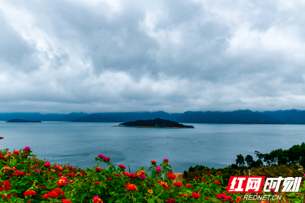 DSC_3455.jpg DSC_3455.jpg