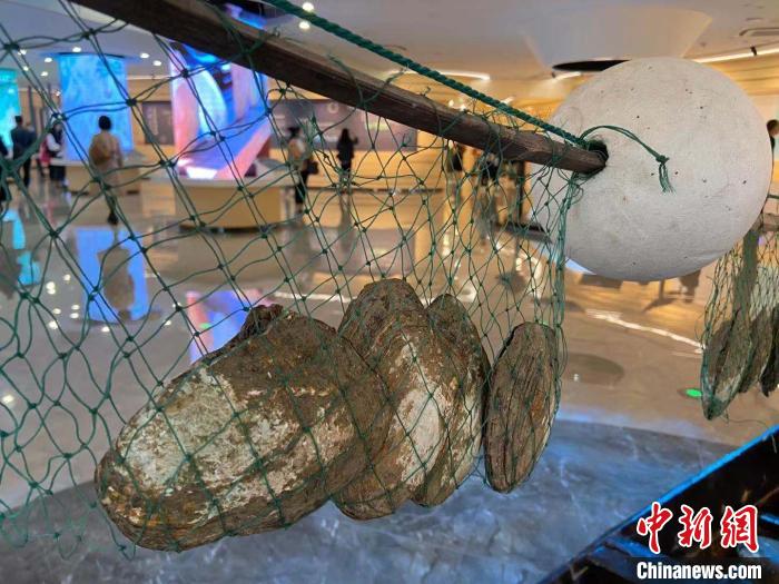 世界淡水珍珠博物馆内一影。 项菁 摄 世界淡水珍珠博物馆内一影。 项菁 摄